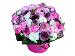 Луиза